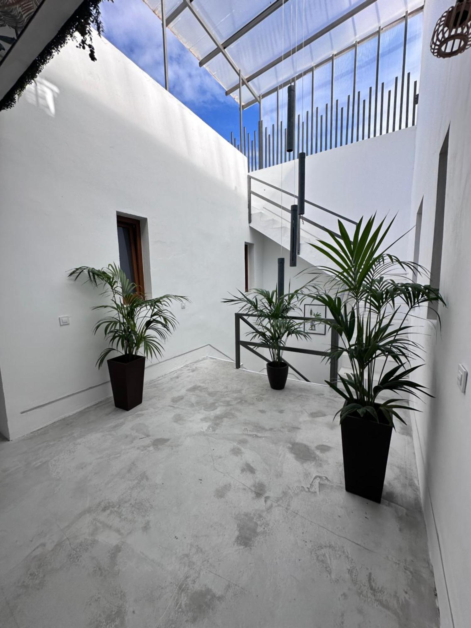 Euphorbia Suites Los Silos Eksteriør billede